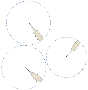 Circulo de borneo