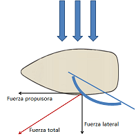 Descomposicion centro velico